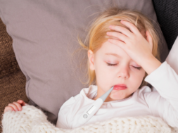 3633B2B0-AB57-49CE-9156-7C66D96ED35A