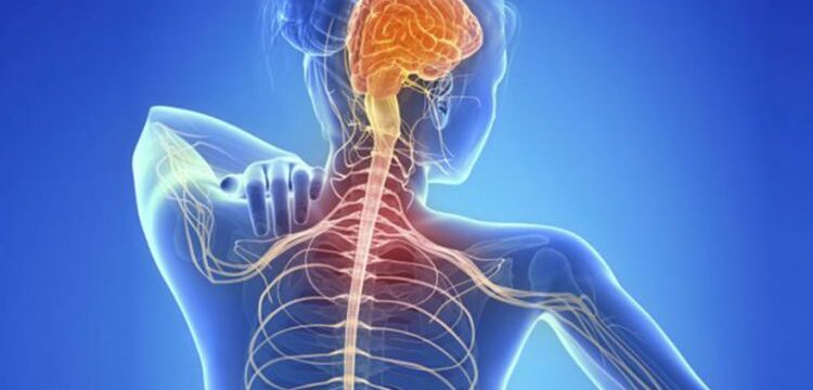 5DE58E25-ECB8-4C5D-B4A0-4B30513417C9