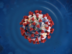 E7067F77-D415-4F92-A7C7-F0B3A992B27A