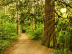 F79982EF-3C65-45DD-B4DD-6E2DFFBF4439