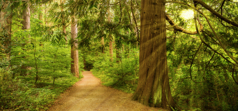 F79982EF-3C65-45DD-B4DD-6E2DFFBF4439