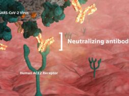 NeutralizingAntibodies_Text