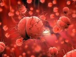 bacteria-neisseria-gonorrhoeae-neisseria-meningitidis-gonococcus-meningococcus