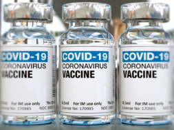 548B0F25-197E-4FA1-8D00-27CE048203B0