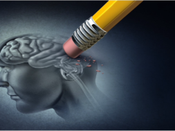 E964B888-74DE-48F2-8AB4-7650E8845F2F