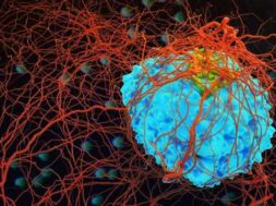 FBA55072-F265-4739-BA3F-2D64EA828629