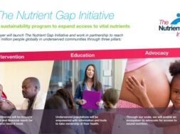 Overview of The Nutrient Gap Initiative