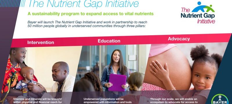Overview of The Nutrient Gap Initiative