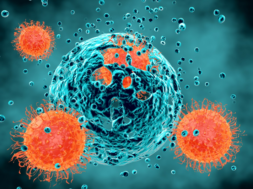 C9B37C32-3782-4B20-9D1C-A3893B551DAB