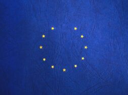 pexels-freestocksorg-113885