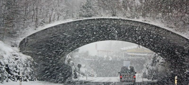 pexels-magda-ehlers-714482