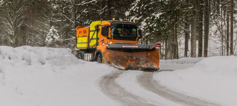 pexels-webdexter-apeldoorn-953877