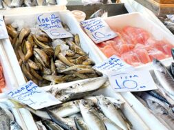 _Φωτο 1_Ψάρια