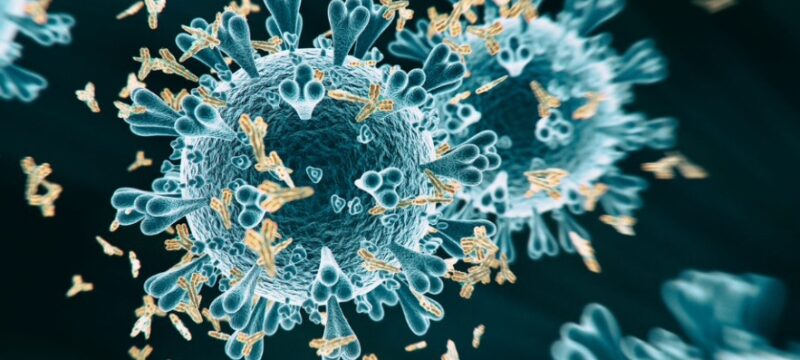 18492AED-66FB-4B41-94CF-E7195CB20301