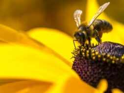 27A46D4F-AEE9-4B96-9849-A322A4863FF1