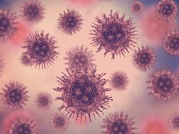 826002A6-134A-43A1-80ED-0FFC307F0E4B