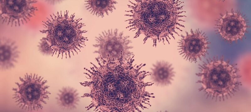 826002A6-134A-43A1-80ED-0FFC307F0E4B