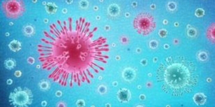 E204B76B-FCB0-438C-8EAC-65336EF46862