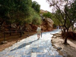 pexels-josiah-lewis-772695