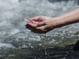 hands-with-clean-water-from-mountain-stream-bubbling_391937-827