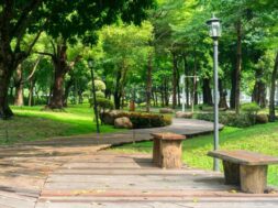 park-with-wooden-pathway-benches_1137-254