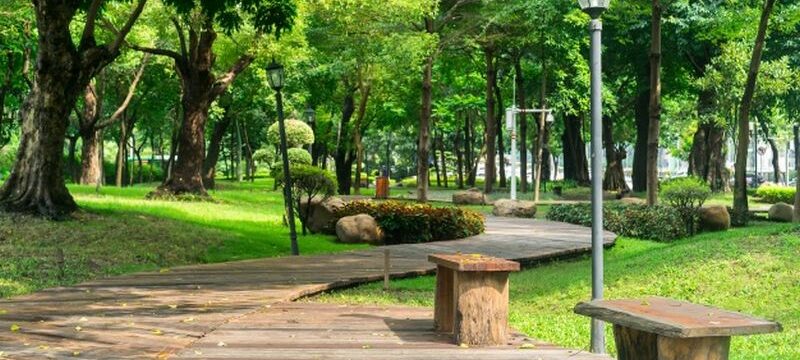 park-with-wooden-pathway-benches_1137-254