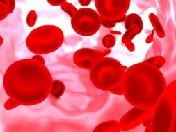 red-blood-cell-blood-vessel_26760-27