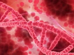 red-dna_1048-4745