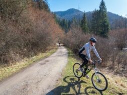 view-male-riding-bycicle-road-surrownded-by-trees-during-coronavirus-quarantine_181624-18421