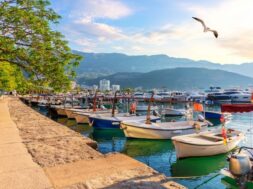 budva-marina-with-boats-beautiful-harbour-view-montenegro_400112-60