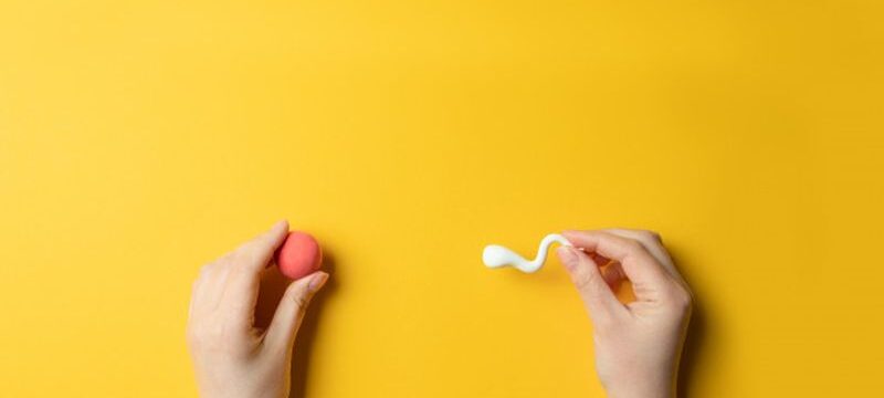 cloning-artificial-insemination-concept-ivf_68196-1402
