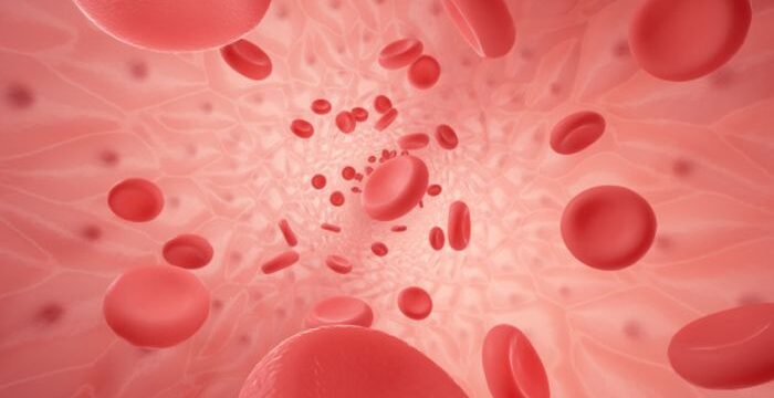 human-vessel-with-erythrocyte_196911-85
