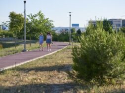 two-friends-take-walk-with-covid19-mask-they-walk-city-park-sunny-summer-day_230254-127