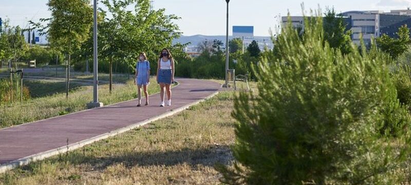 two-friends-take-walk-with-covid19-mask-they-walk-city-park-sunny-summer-day_230254-127