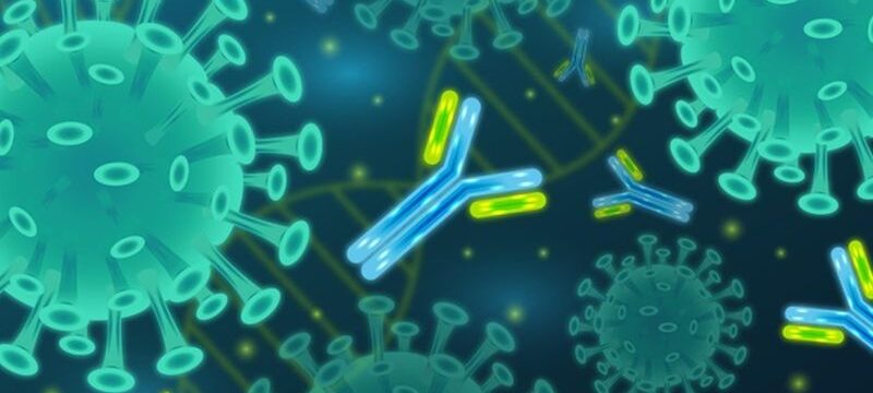 virus-particles-interacting-with-antibody-molecules_23-2148589191