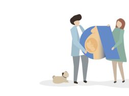 Carousel_gonimotita_affidea_200621