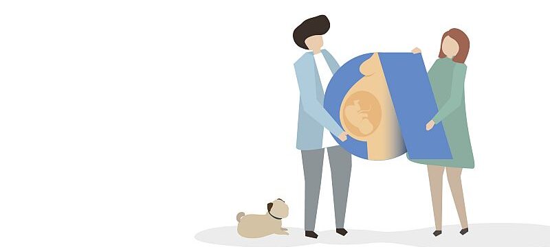 Carousel_gonimotita_affidea_200621