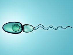 digital-illustration-sperm-cells_45096-6