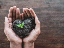 hands-holding-earth-soil-with-new-plant-growing_24899-1953