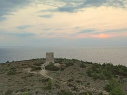Βίγλα Παχύ στο Τηγάνι Σιδηρούντας (c) Ειρήνη Στείρου