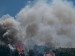 BBF463C9-9B34-4C7F-9487-C3BD3822DF87