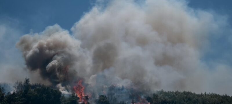 BBF463C9-9B34-4C7F-9487-C3BD3822DF87