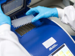 0086AEED-4BAB-46F2-A32F-D733EACE3F6A