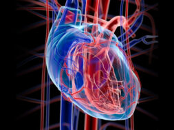 human_heart_2_0_800x500