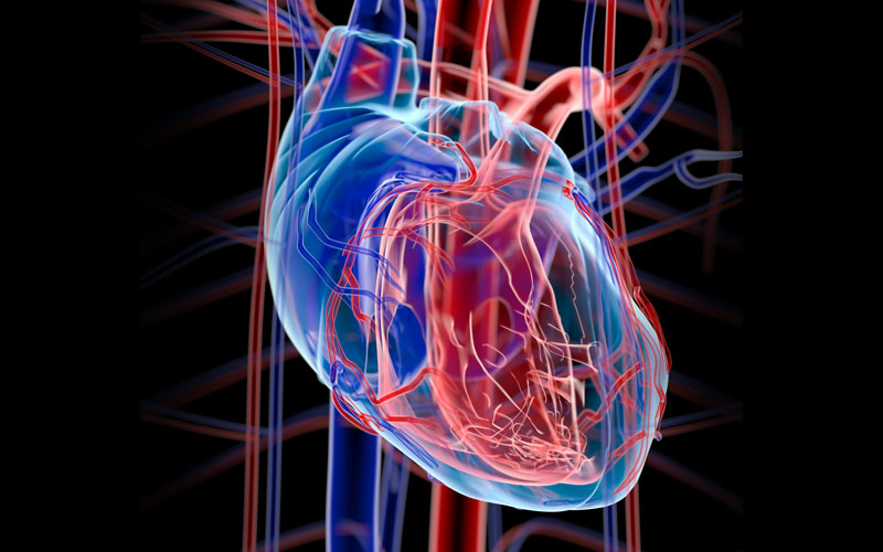 Ατμοσφαιρική ρύπανση και Καρδιαγγεικά Νοσήματα