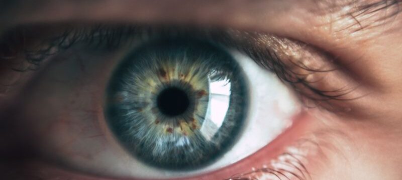 pexels-victor-freitas-865711