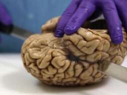 539C0C54-D50A-4DBD-B002-C44D39A6604F