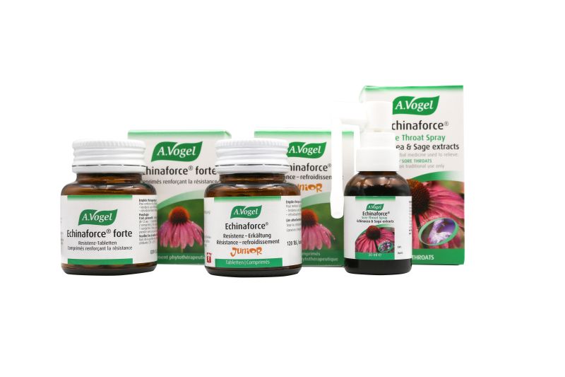 Echinaforce: Θωρακίστε φυσικά και αποτελεσματικά το ανοσοποιητικό σας σύστημα!