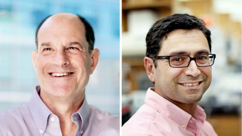 Σε ποιους απονεμήθηκε το φετινό Νόμπελ Ιατρικής