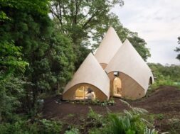 EAF0D2C7-E195-4FA0-9BAA-FB0877BE8CB5